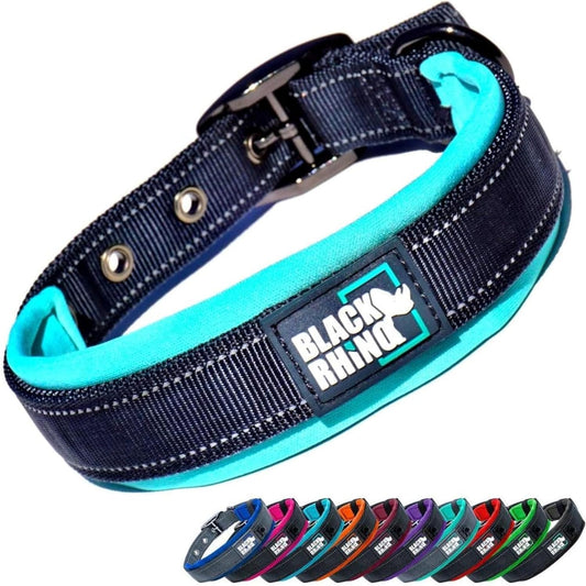 Dog Collars for Medium Dogs - Adjustable Reflective Heavy Duty Dog Collar with Ultra-Soft Neoprene Padding - Weatherproof, Durable, and Comfortable - Ideal for Active Dogs - Aqua and Gray